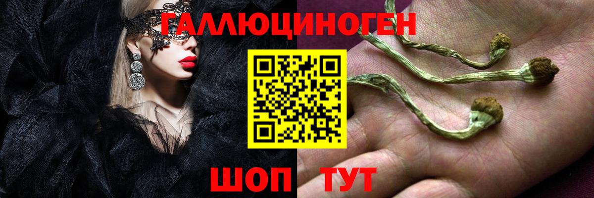 Псилоцибиновые грибы ЛСД  Вход с VPN  Советск 